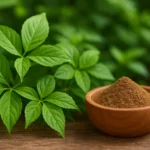 newimgi_16_Gynostemma