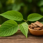 newimgi_19_Slippery-Elm-Bark